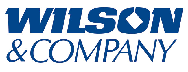 Wilson Pantone 287 650x250